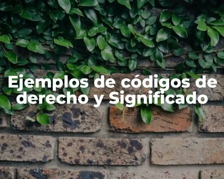 Ejemplos de códigos de derecho y Significado