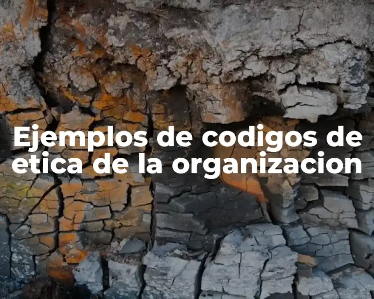 Ejemplos de codigos de etica de la organizacion