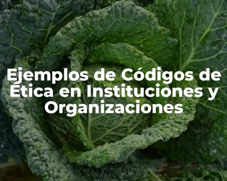 Ejemplos de Códigos de Ética en Instituciones y Organizaciones