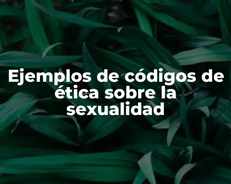 Ejemplos de códigos de ética sobre la sexualidad