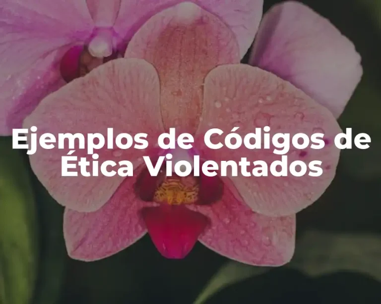 Ejemplos de Códigos de Ética Violentados