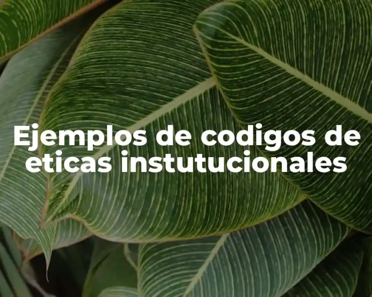 Ejemplos de codigos de eticas instutucionales