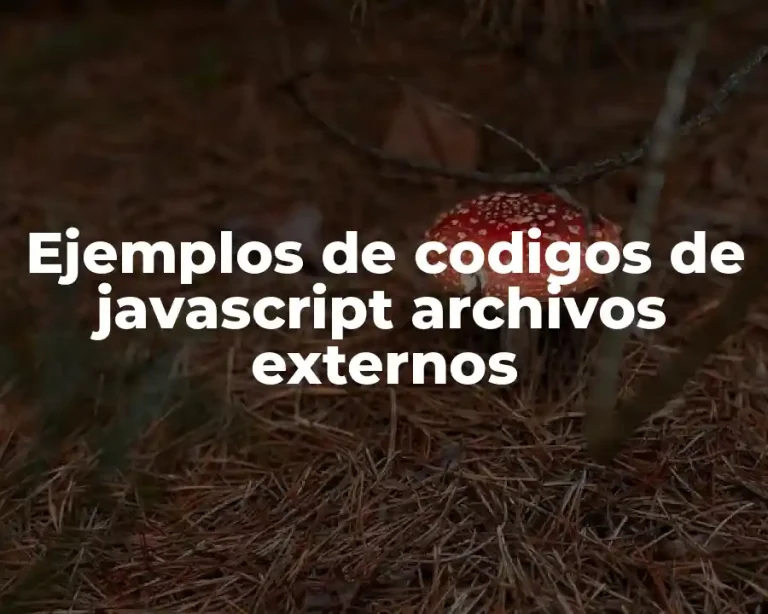 Ejemplos de codigos de javascript archivos externos