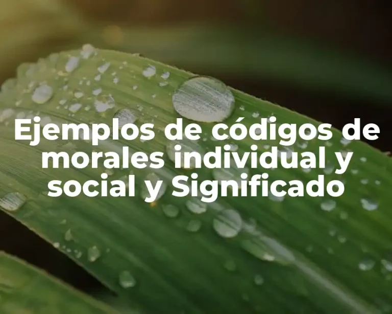 Ejemplos de códigos de morales individual y social y Significado