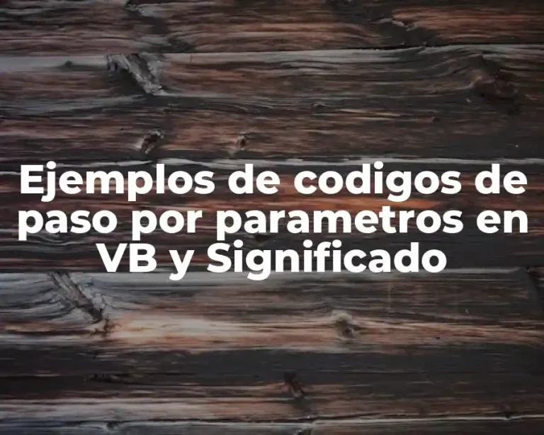 Ejemplos de codigos de paso por parametros en VB y Significado