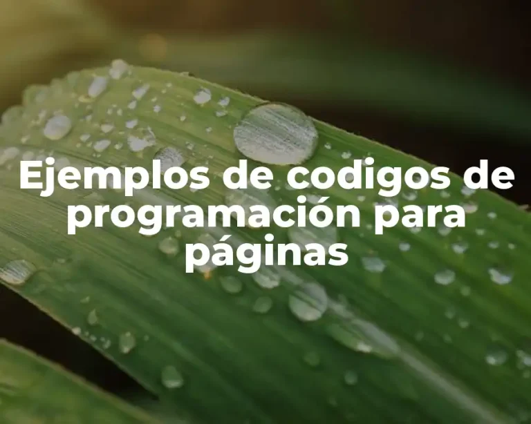 Ejemplos de codigos de programación para páginas