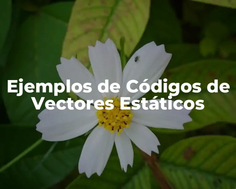 Ejemplos de Códigos de Vectores Estáticos