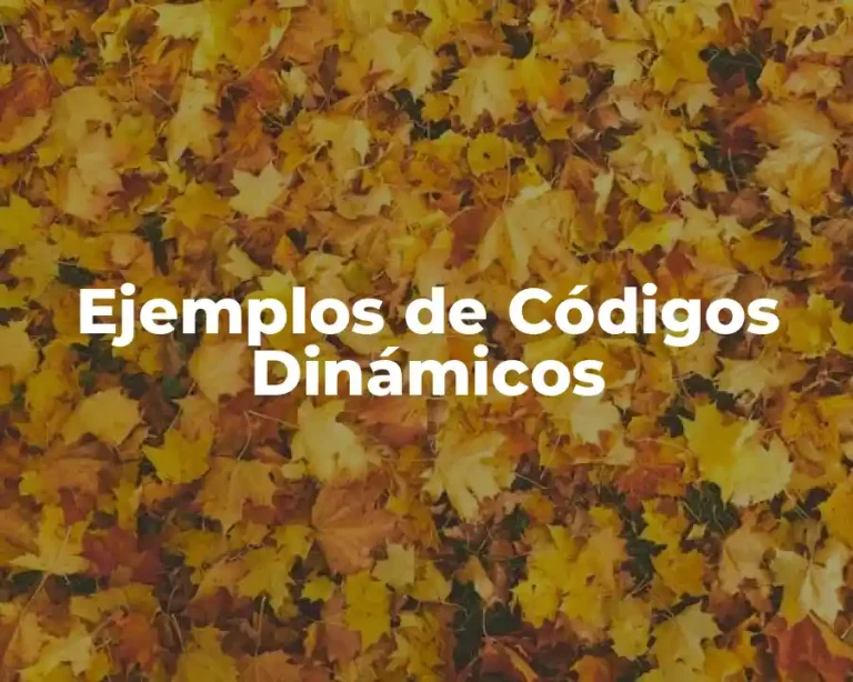 Ejemplos de Códigos Dinámicos