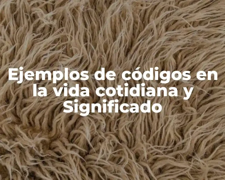 Ejemplos de códigos en la vida cotidiana y Significado