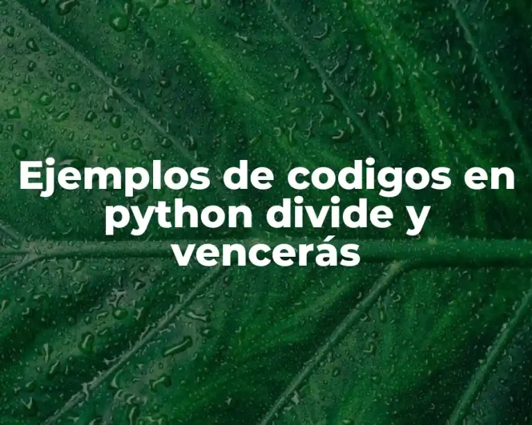 Ejemplos de codigos en python divide y vencerás
