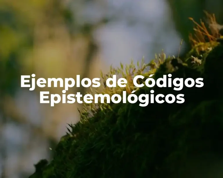 Ejemplos de Códigos Epistemológicos