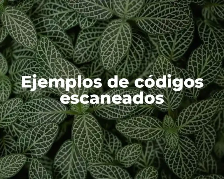 Ejemplos de códigos escaneados