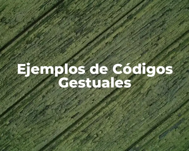 Ejemplos de Códigos Gestuales