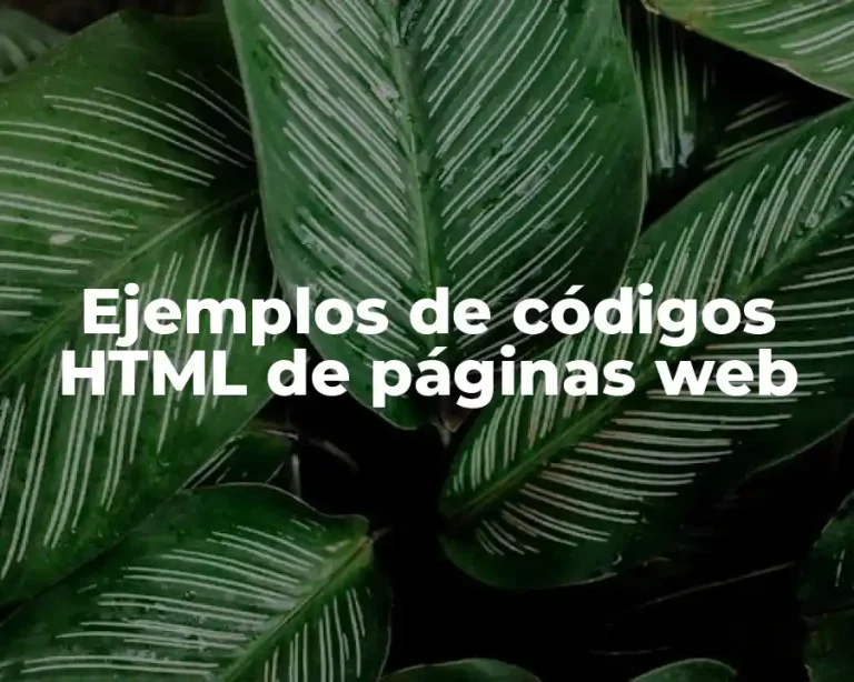 Ejemplos de códigos HTML de páginas web