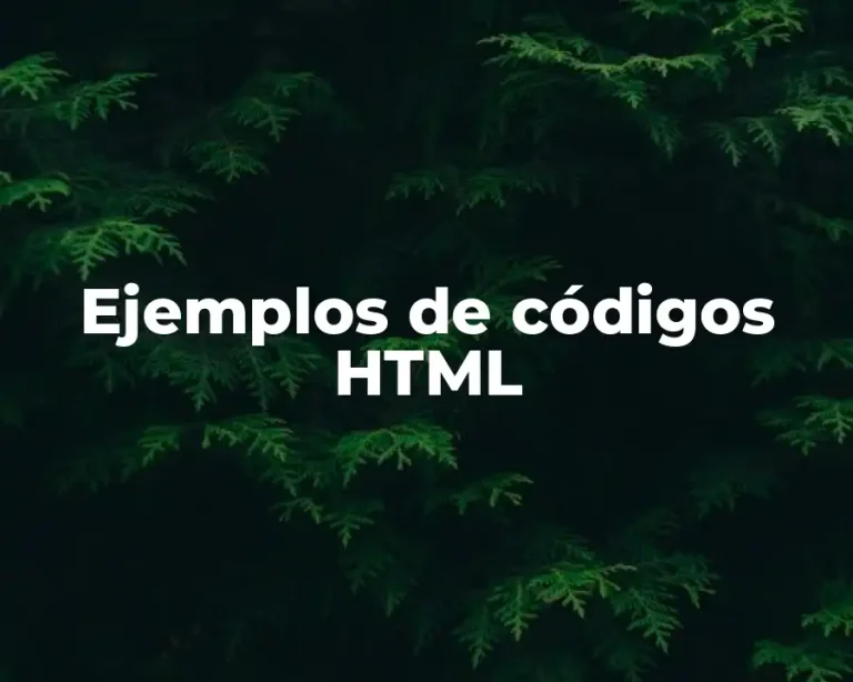 Ejemplos de códigos HTML