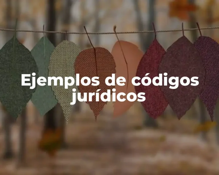 Ejemplos de códigos jurídicos