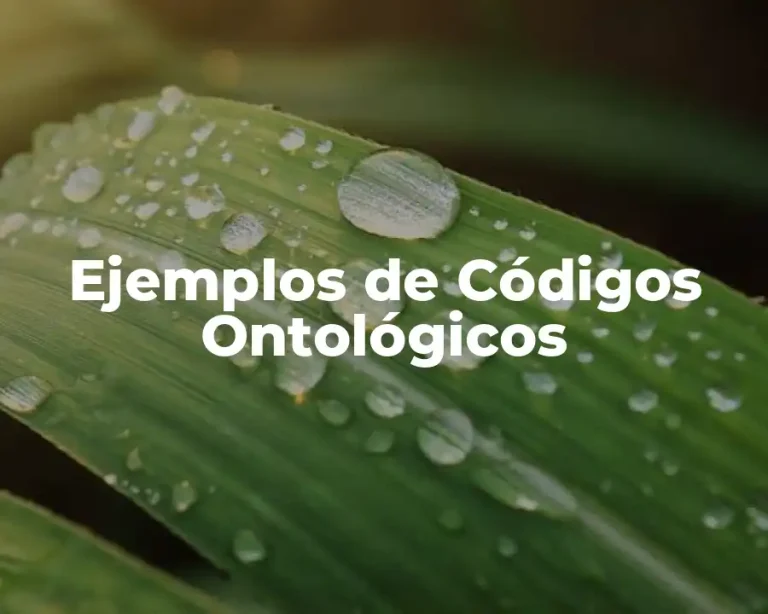 Ejemplos de Códigos Ontológicos