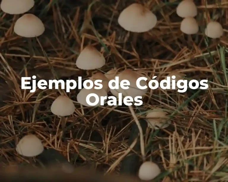 Ejemplos de Códigos Orales