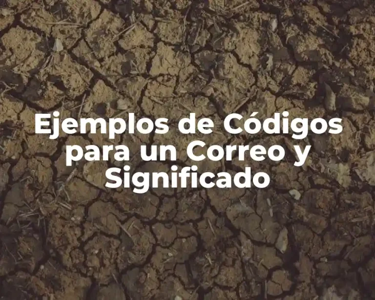 Ejemplos de Códigos para un Correo y Significado