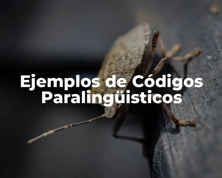 Ejemplos de Códigos Paralingüisticos