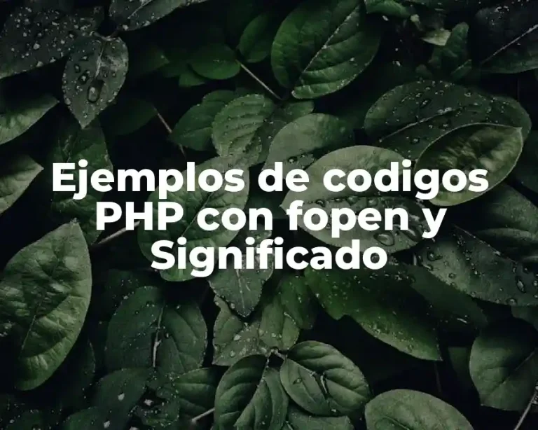 Ejemplos de codigos PHP con fopen y Significado