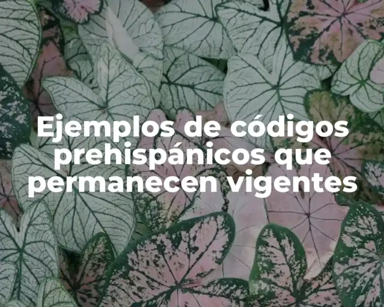 Ejemplos de códigos prehispánicos que permanecen vigentes