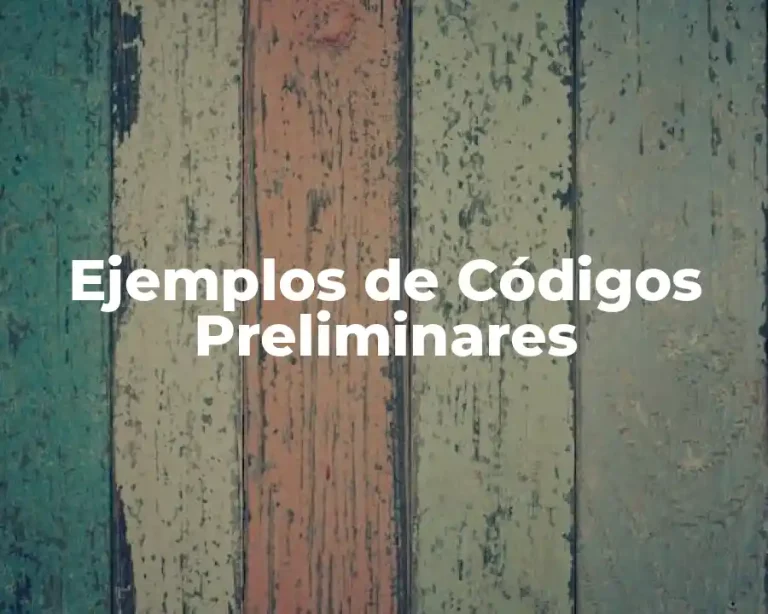 Ejemplos de Códigos Preliminares