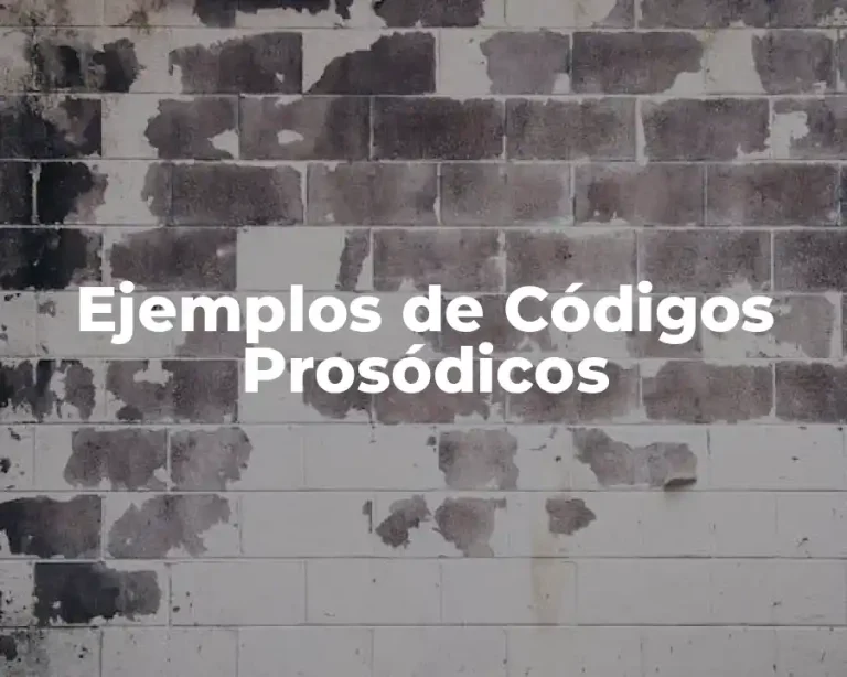 Ejemplos de Códigos Prosódicos