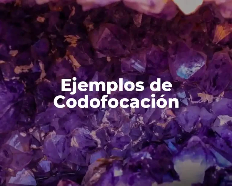 Ejemplos de Codofocación
