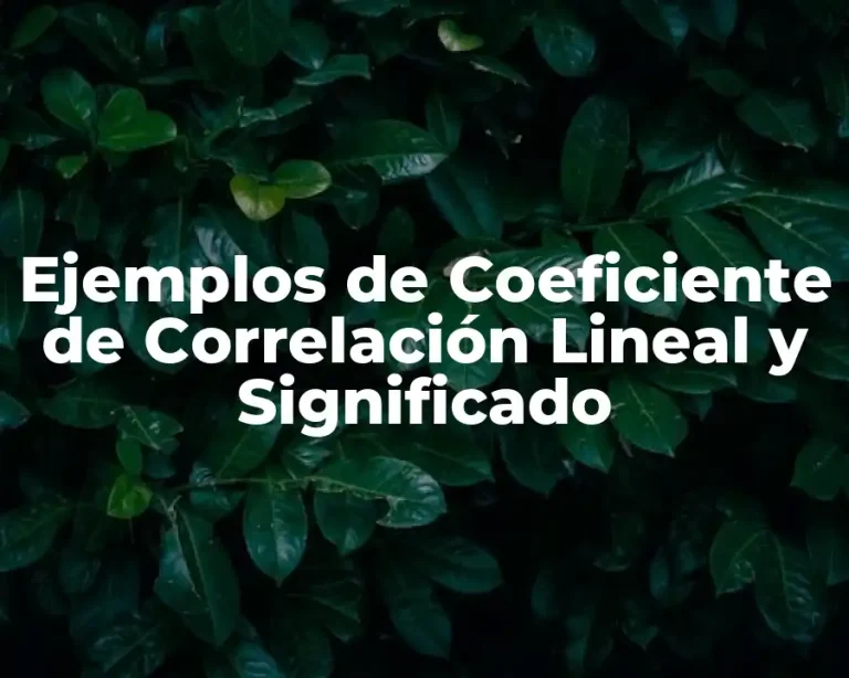 Ejemplos de Coeficiente de Correlación Lineal y Significado