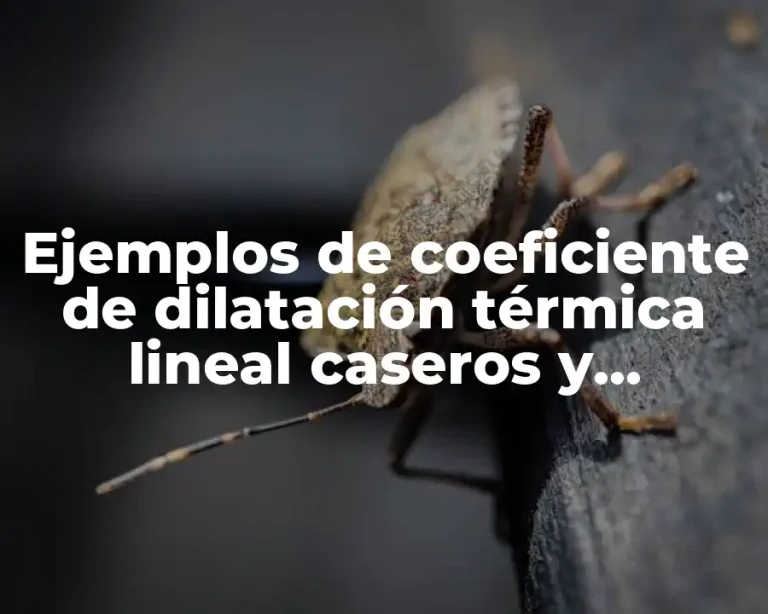 Ejemplos de coeficiente de dilatación térmica lineal caseros y Significado