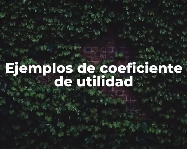 Ejemplos de coeficiente de utilidad