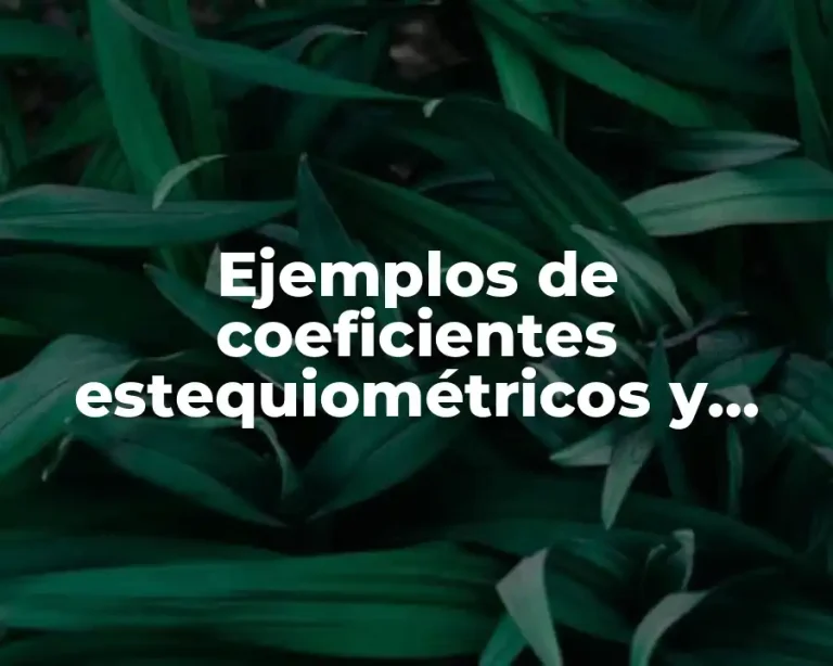 Ejemplos de coeficientes estequiométricos y Significado