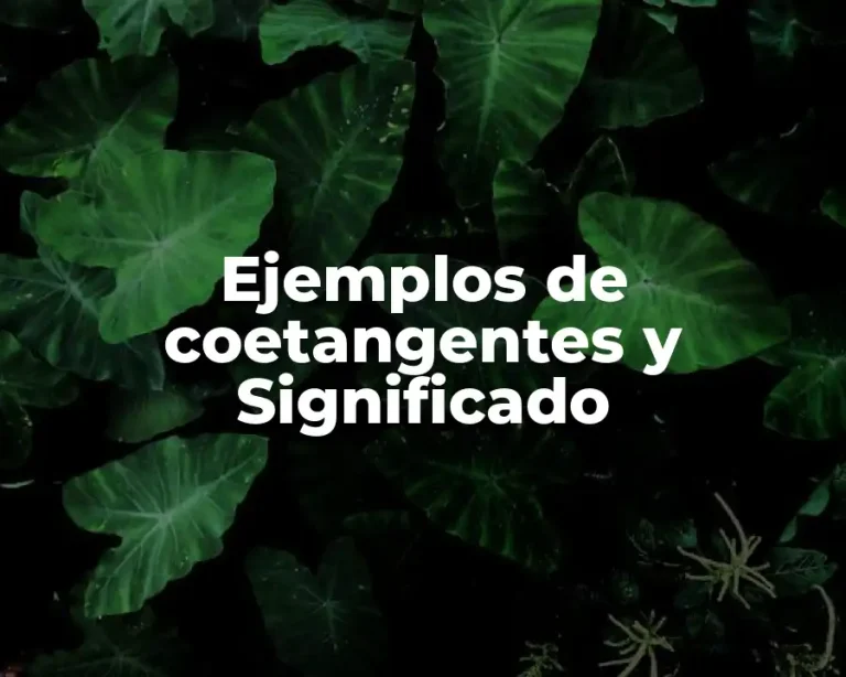 Ejemplos de coetangentes y Significado
