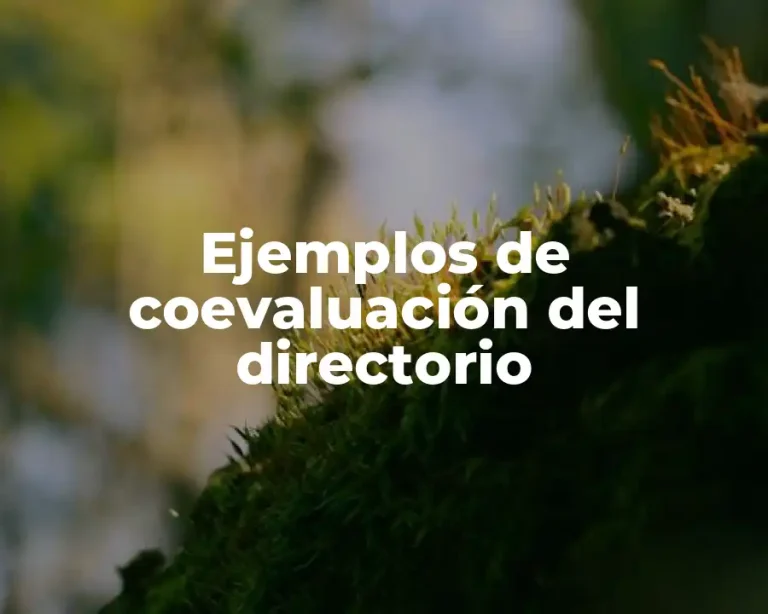 Ejemplos de coevaluación del directorio