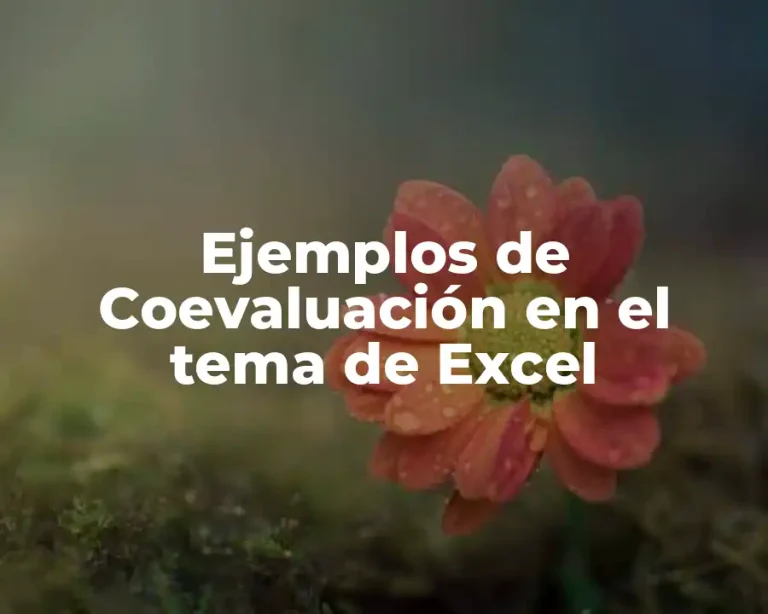 Ejemplos de Coevaluación en el tema de Excel