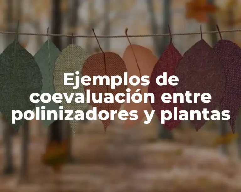 Ejemplos de coevaluación entre polinizadores y plantas