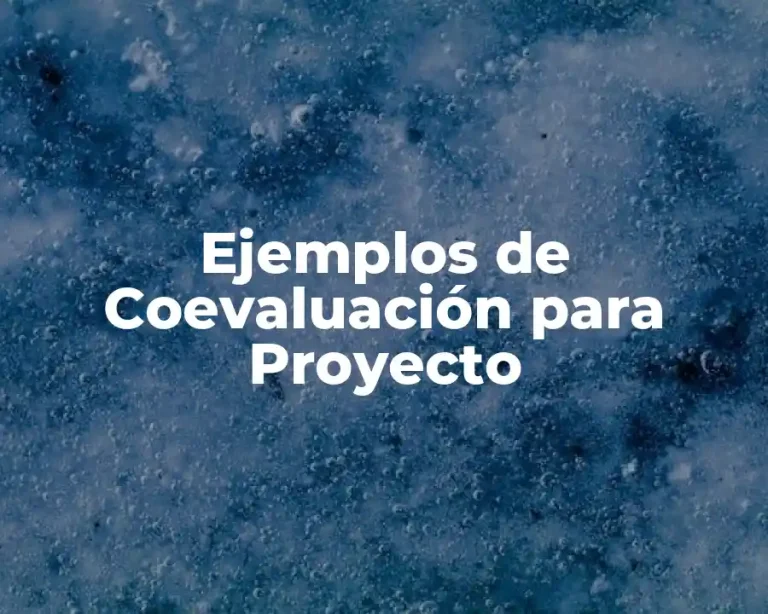 Ejemplos de Coevaluación para Proyecto