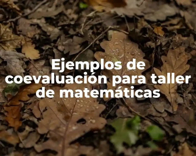 Ejemplos de coevaluación para taller de matemáticas