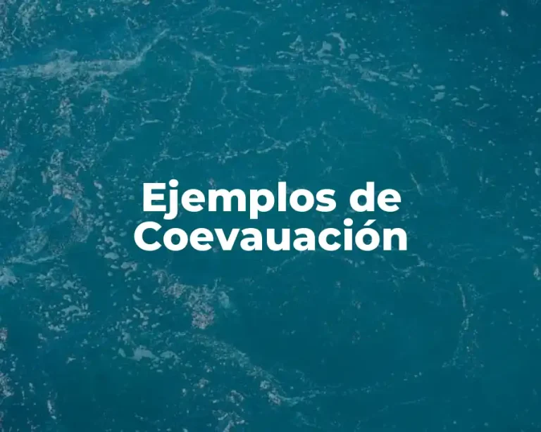 Ejemplos de Coevauación