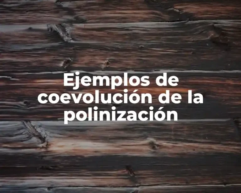 Ejemplos de coevolución de la polinización