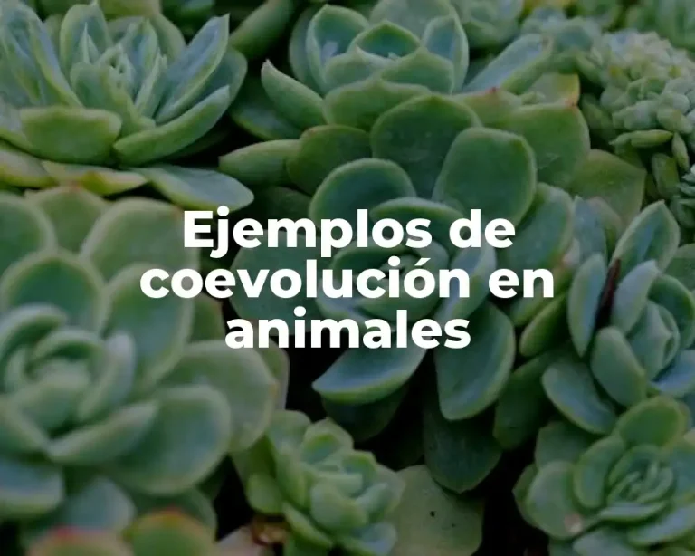 Ejemplos de coevolución en animales