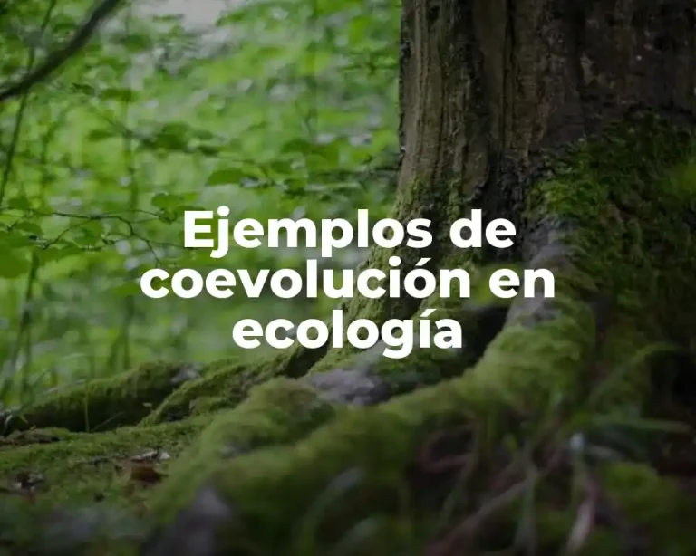 Ejemplos de coevolución en ecología