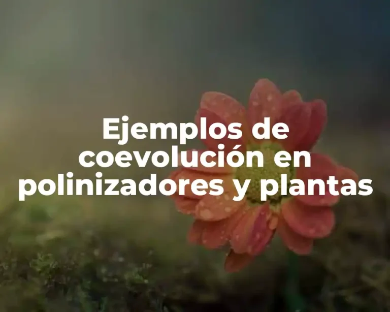 Ejemplos de coevolución en polinizadores y plantas