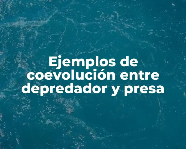Ejemplos de coevolución entre depredador y presa