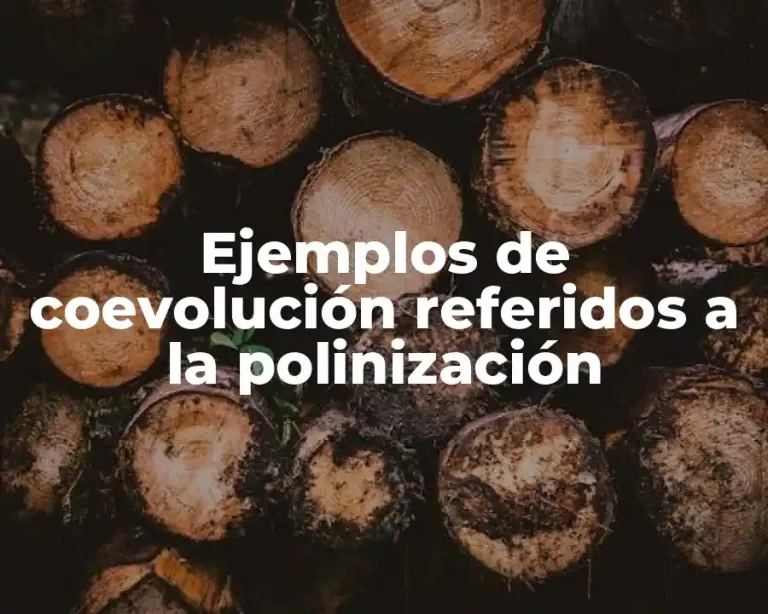 Ejemplos de coevolución referidos a la polinización