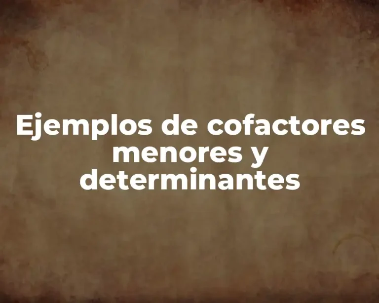 Ejemplos de cofactores menores y determinantes