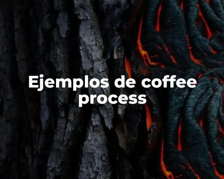 Ejemplos de coffee process