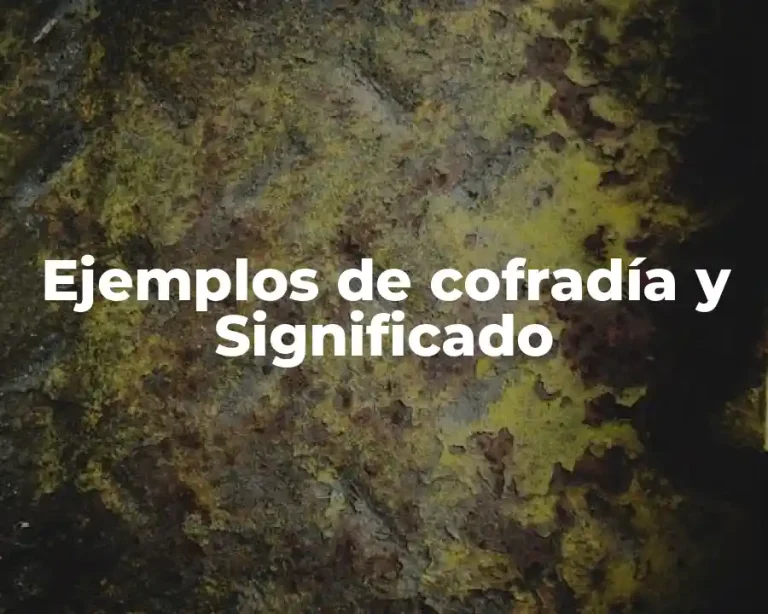 Ejemplos de cofradía y Significado
