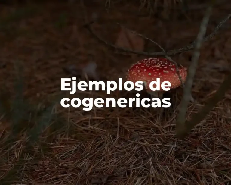Ejemplos de cogenericas